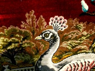 Vintage Peacock,  Swan,  Floral Tapestry,  Deep Colors 3