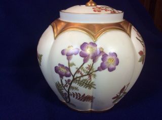 Vintage Royal Worcester Porcelain Hand Painted Bisquit Jar