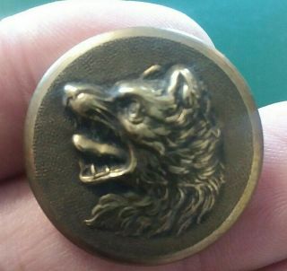 Antique Hunt Sporting Wolf Brass Button Special Quality 41 1 Inch A 20