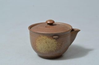 T3407: Japanese Bizen - Ware Youhen Pattern Tea Pot Houhin Kyusu Sencha