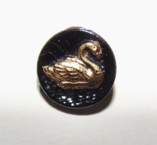 Vintage Swan Kiddie/Children ' s Black Glass Button 1016 3