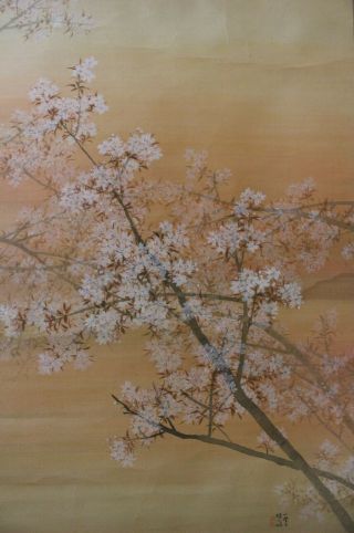 H03k2 桜 Sakura Cherry Blossom Tree Japanese Hanging Scroll