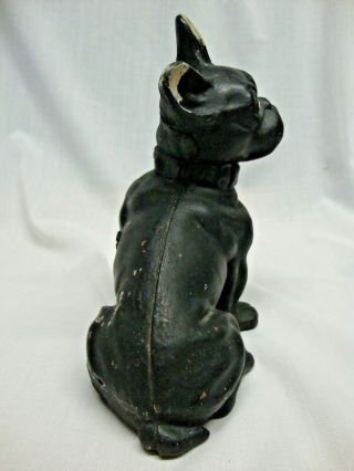 VINTAGE ANTIQUE HUBLEY (?) BLACK CAST IRON FRENCH BULLDOG DOG 7.  75 