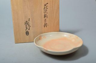 T3319: Japanese Hagi - Ware Dessert Bowl/dish,  Tawara Toubee Made W/signed Box