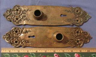 Pair Antique Art Nouveau Fancy Floral Design Brass Door Knobs Plates 10 1/4 Inch