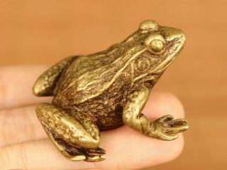 Rare Chinese Old Bronze Fortune Frog Statue Figue Netsuke Noble Decoration Gift