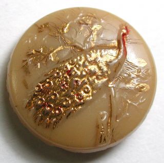 Antique Custard Glass Button Peacock In Tree W/ Paint & Gold Luster - 11/16 "