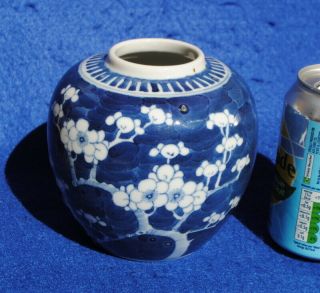 19thc Antique Chinese Porcelain Blue And White Prunus Blossom Ginger Jar