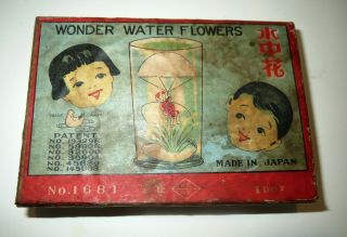 Antique Japanese Magic Trick Advertising Box - Wonder Water Flowers