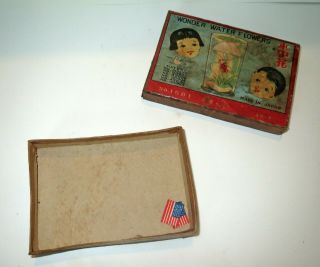 Antique Japanese Magic Trick ADVERTISING BOX - WONDER WATER FLOWERS 2