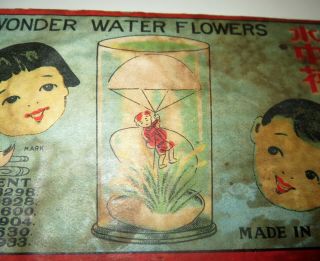 Antique Japanese Magic Trick ADVERTISING BOX - WONDER WATER FLOWERS 3