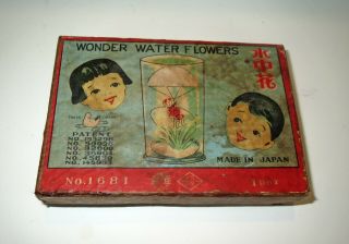 Antique Japanese Magic Trick ADVERTISING BOX - WONDER WATER FLOWERS 5