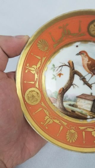 Antique European Porcelain Hand Painted Plate 5 