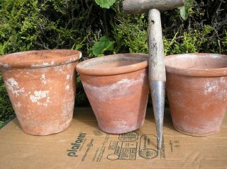 3 Old Hand Thrown Terracotta Plant Pots 1 X 7 " 2 X 6.  25 " 1 Sanky Bulwell
