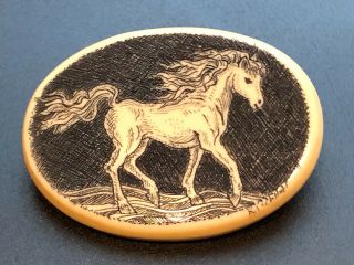 Large Vintage Button,  Resin Scrimshaw Prancing Horse K&k Mcclelland,  1 3/8 "