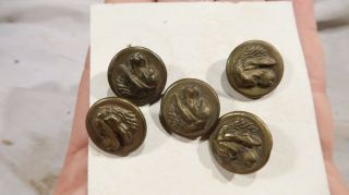 Antique Brass Buttons With Doghead Dog Head