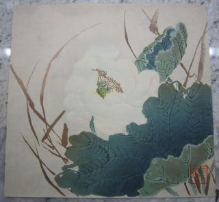 Antique Unknown Japanese Woodblock Print White Lotus Flower