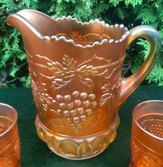 Vintage Northwood GRAPE & CABLE CARNIVAL GLASS 7 PC.  WATER SET MARIGOLD EXC 2