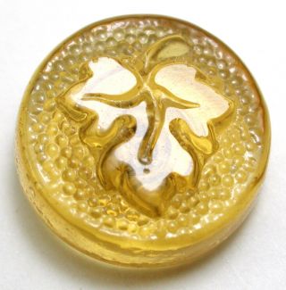 Bb Antique Charmstring Glass Button Swirl Bk Oak Leaf Pictorial 5/8 "