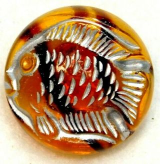 Antique Vtg Glass Button Rootbeer Amber & White Stripe Fish 7/8 S