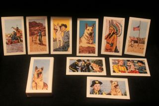 Cigarette/trade Cards Cadet Adventures Of Rin Tin Tin 1960 Complete Set Of 48