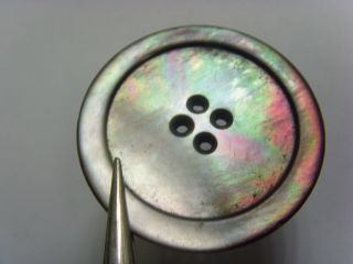 Antique Extra Large 37 Mm Opalized Rainbow Mop Mother Of Pearl Button 49784