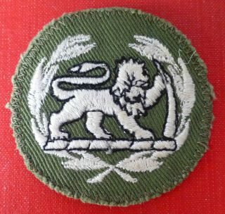 Rhodesia Army Sergeant Major Warrant Officer 2 Rhodesia Od Camo Wo2 Rank Badge