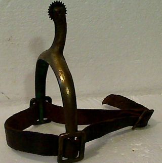 Antique Early 20h Century Us Army Cavalry Brass Spur With Leather Strap,  Single