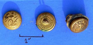 Antique Brass Buttons From Virginia Agricultural And Mechanical College (vpi)