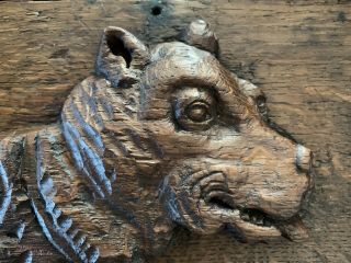 Antique Folk Art Hand Carved Wood Dog W/ Collar Portrait Plaque Black Forest