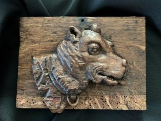 Antique Folk Art Hand Carved Wood Dog w/ Collar Portrait Plaque Black Forest 4