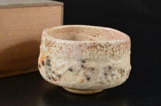 S2815: Japanese Old Shino - Ware White Glaze Muffle Painting Tea Bowl W/box