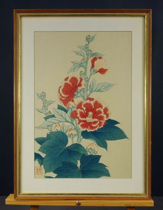 Vintage Japanese Color Woodblock Print Of Flowers By Shodo Kawarazaki Hollyhock