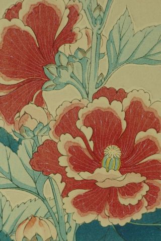 Vintage Japanese Color Woodblock Print of Flowers by SHODO KAWARAZAKI Hollyhock 2