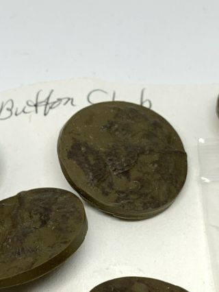 Vintage Or Antique Clay? Insect Berry Buttons Monson Button Club 4