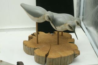 Vintage 1988 C.  D.  Workman Hand Carved Wooden Shore Bird Decoy Glass Eyes Hunting