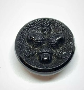 High Relief Black Jet Glass Victorian Acorn Button 16mm
