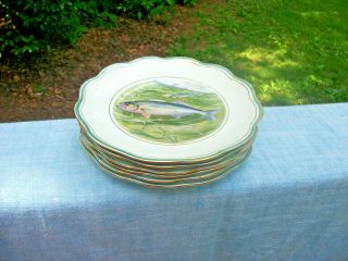 Set Of 6 Antique 1903 Fish Plates Artist R.  K.  Beck The Colonial Co.