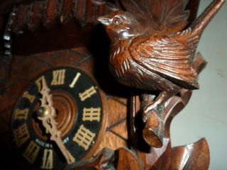 Rare Vintage Black Forest Carved 3 Weight Musical Automaton Cuckoo Wall Clock 4