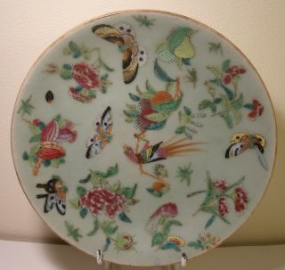 7.  5 " Chinese Celadon Famille Rose Plate (4)