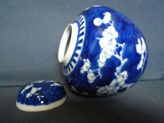 An antique Chinese porcelain b&w Ginger Jar & cover,  late 19th.  c,  very good con. 5
