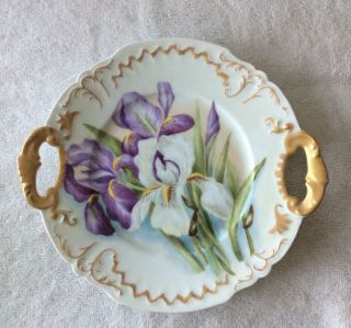 Jpl Limoges France Signed Mwo 1895 Cake Plate Iris Hand Painted Antique