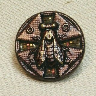 Rare Antique Victorian Metal Button Tinted Brass Fly W Glitter Back Verbal D13
