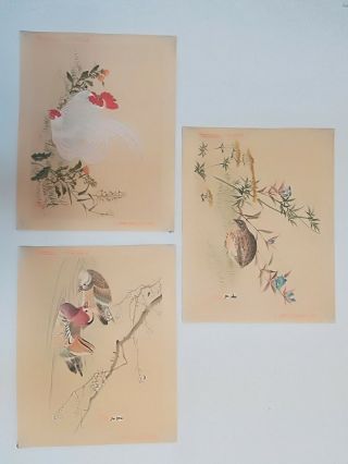 Fine Set Of 3 Chinese Water Colour Paintings Signed.