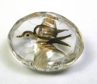 Bb Antique Victorian Glass Button Crystal Color Oval W/ Gold Luster Bird 11/16 "