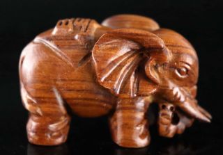 Collectable China Old Boxwood Hand Carve Moral Auspicioous Noble Elephant Statue