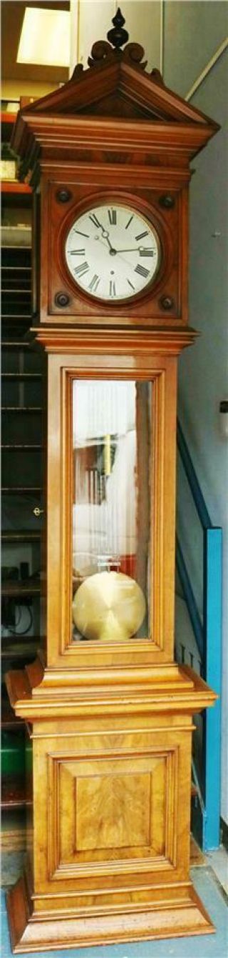 Rare Huge Antique Lenzkirch Walnut 8Day Floor Standing Precision Regulator Clock 2