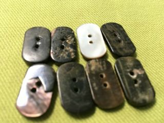 8 Antique abalone shell beautifully carved 2 hole buttons 3/4 