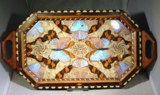 Butterfly Wing Tray Signed Santos Brazil Blue Lilac Mid Century Inlay Wood 1106