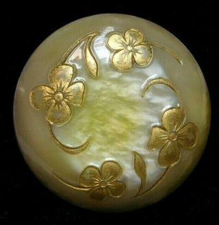 Large Antique Button Carved Celluloid? Flowers W Gold 1 & 5/16 Aa
